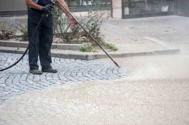 Best Graffiti Removal Services in Biggs, CA